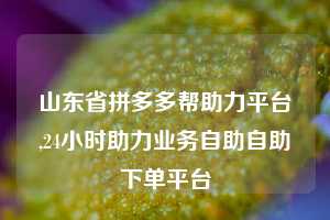 山东省拼多多帮助力平台,24小时助力业务自助自助下单平台