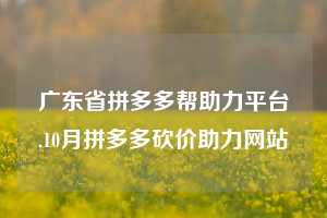 广东省拼多多帮助力平台,10月拼多多砍价助力网站