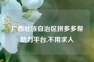 广西壮族自治区拼多多帮助力平台,不用求人