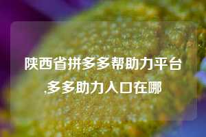 陕西省拼多多帮助力平台,多多助力入口在哪