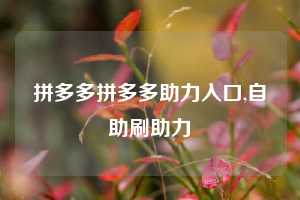拼多多拼多多助力入口,自助刷助力