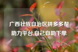 广西壮族自治区拼多多帮助力平台,自己自助下单