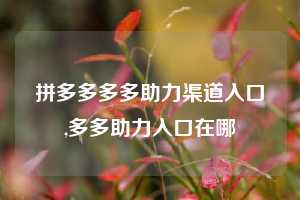 拼多多多多助力渠道入口,多多助力入口在哪