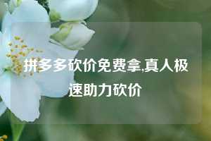 拼多多砍价免费拿,真人极速助力砍价
