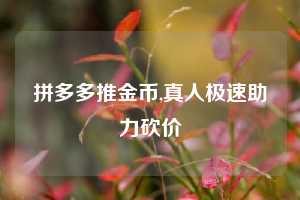拼多多推金币,真人极速助力砍价