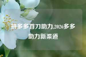 拼多多首刀助力,2026多多助力新渠道