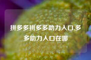 拼多多拼多多助力入口,多多助力入口在哪