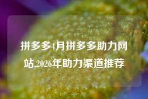 拼多多4月拼多多助力网站,2026年助力渠道推荐