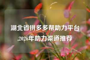 湖北省拼多多帮助力平台,2026年助力渠道推荐