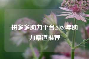 拼多多助力平台,2026年助力渠道推荐