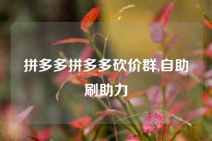 拼多多拼多多砍价群,自助刷助力