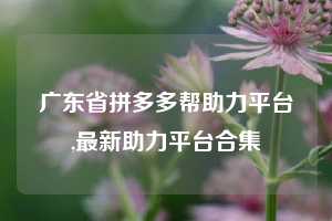 广东省拼多多帮助力平台,最新助力平台合集