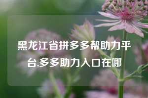 黑龙江省拼多多帮助力平台,多多助力入口在哪