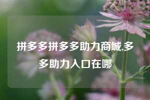 拼多多拼多多助力商城,多多助力入口在哪