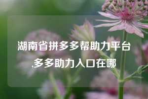 湖南省拼多多帮助力平台,多多助力入口在哪