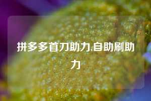 拼多多首刀助力,自助刷助力