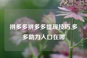 拼多多拼多多提现技巧,多多助力入口在哪
