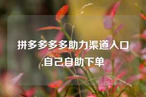 拼多多多多助力渠道入口,自己自助下单