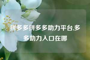 拼多多拼多多助力平台,多多助力入口在哪