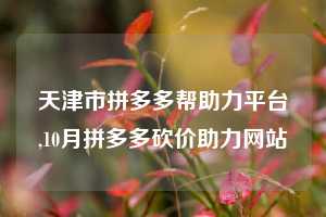 天津市拼多多帮助力平台,10月拼多多砍价助力网站