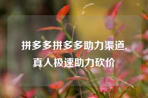 拼多多拼多多助力渠道,真人极速助力砍价