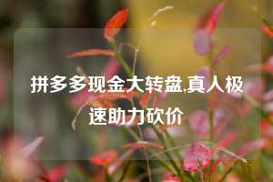 拼多多现金大转盘,真人极速助力砍价
