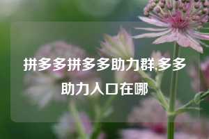 拼多多拼多多助力群,多多助力入口在哪