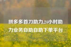 拼多多首刀助力,24小时助力业务自助自助下单平台