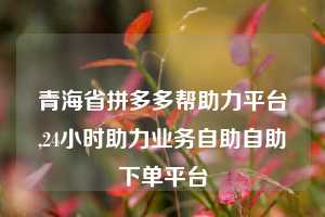 青海省拼多多帮助力平台,24小时助力业务自助自助下单平台