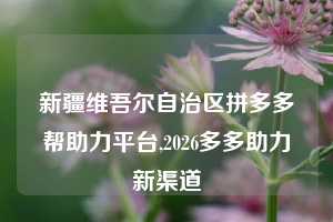新疆维吾尔自治区拼多多帮助力平台,2026多多助力新渠道