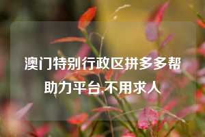 澳门特别行政区拼多多帮助力平台,不用求人