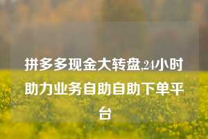 拼多多现金大转盘,24小时助力业务自助自助下单平台