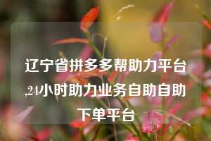 辽宁省拼多多帮助力平台,24小时助力业务自助自助下单平台
