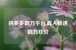 拼多多助力平台,真人极速助力砍价