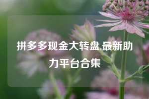 拼多多现金大转盘,最新助力平台合集