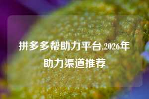 拼多多帮助力平台,2026年助力渠道推荐
