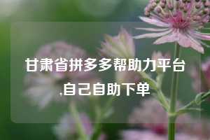 甘肃省拼多多帮助力平台,自己自助下单