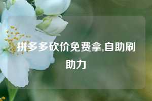 拼多多砍价免费拿,自助刷助力