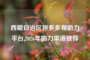 西藏自治区拼多多帮助力平台,2026年助力渠道推荐