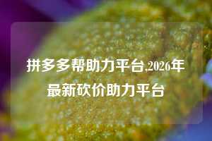 拼多多帮助力平台,2026年最新砍价助力平台