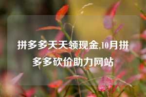 拼多多天天领现金,10月拼多多砍价助力网站