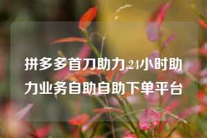 拼多多首刀助力,24小时助力业务自助自助下单平台
