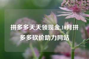 拼多多天天领现金,10月拼多多砍价助力网站