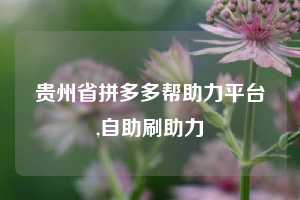 贵州省拼多多帮助力平台,自助刷助力