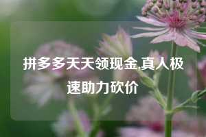 拼多多天天领现金,真人极速助力砍价
