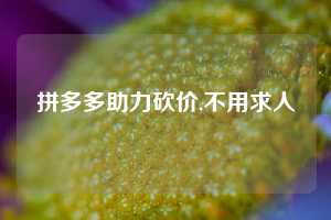 拼多多助力砍价,不用求人