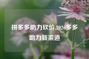拼多多助力砍价,2026多多助力新渠道
