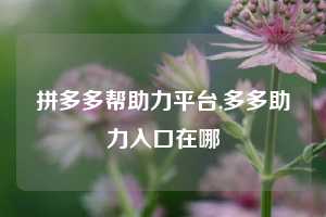 拼多多帮助力平台,多多助力入口在哪