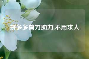 拼多多首刀助力,不用求人