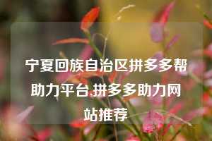 宁夏回族自治区拼多多帮助力平台,拼多多助力网站推荐